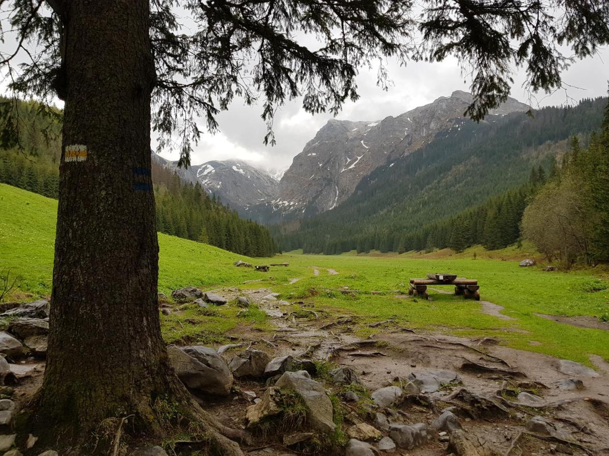 Spanie po Zbóju Kościelisko Exterior foto